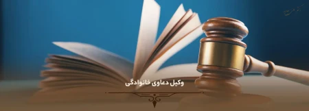 وکیل دعاوی خانوادگی 17 وکیل دعاوی خانوادگی